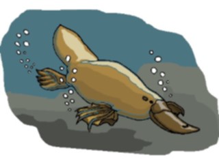 Sticker Custom Preview Image #015622 Animals Aquatic Platypus2