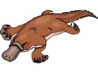 Sticker Custom Preview Image #015623 Animals Aquatic Platypus3