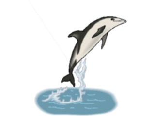 Sticker Custom Preview Image #015625 Animals Aquatic Porpoise1