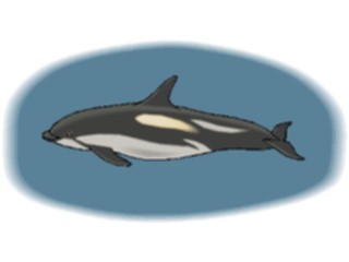 Sticker Custom Preview Image #015627 Animals Aquatic Porpoise3