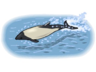 Sticker Custom Preview Image #015628 Animals Aquatic Porpoise4