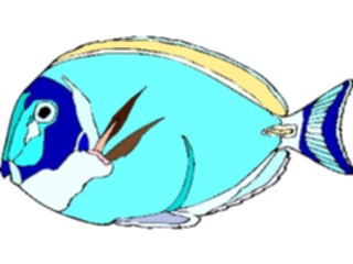 Sticker Custom Preview Image #015630 Animals Aquatic Powder Blue Tang