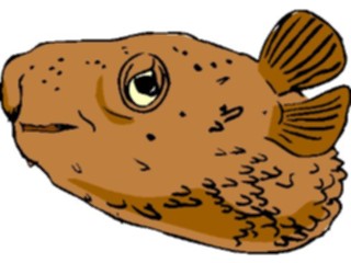 Sticker Custom Preview Image #015632 Animals Aquatic Puffer2