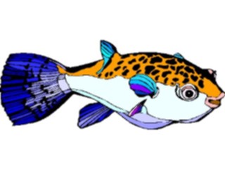 Sticker Custom Preview Image #015635 Animals Aquatic Puffer5