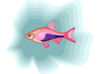 Sticker Custom Preview Image #015642 Animals Aquatic Rasbora Harlequin