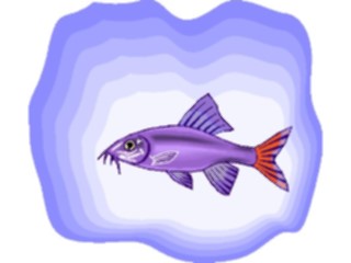 Sticker Custom Preview Image #015645 Animals Aquatic Red Tailed Shark2