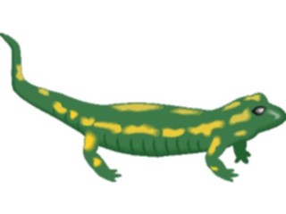 Sticker Custom Preview Image #015652 Animals Aquatic Salamander