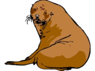 Sticker Custom Preview Image #015664 Animals Aquatic Sea Lion2