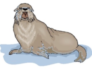 Sticker Custom Preview Image #015667 Animals Aquatic Sea Lion5