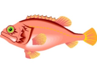 Sticker Custom Preview Image #015672 Animals Aquatic Sea Perch