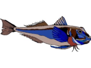 Sticker Custom Preview Image #015673 Animals Aquatic Sea Robin1