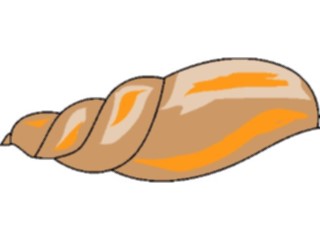 Sticker Custom Preview Image #015676 Animals Aquatic Sea Shell02