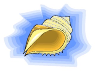 Sticker Custom Preview Image #015720 Animals Aquatic Sea Shell46