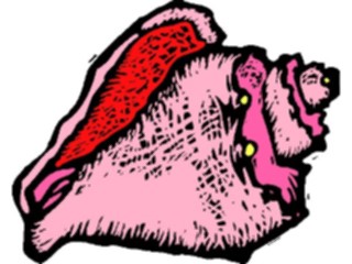 Sticker Custom Preview Image #015721 Animals Aquatic Sea Shell47