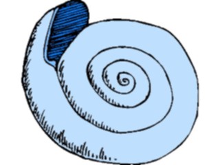 Sticker Custom Preview Image #015726 Animals Aquatic Sea Shell52