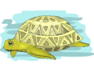 Sticker Custom Preview Image #015750 Animals Aquatic Sea Turtle