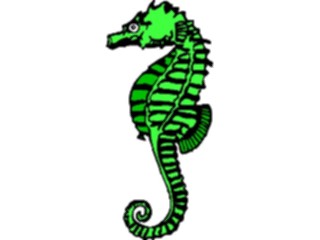 Sticker Custom Preview Image #015752 Animals Aquatic Seahorse02