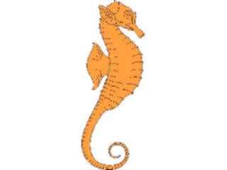 Sticker Custom Preview Image #015753 Animals Aquatic Seahorse03