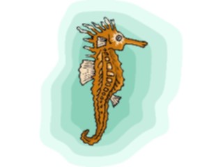 Sticker Custom Preview Image #015755 Animals Aquatic Seahorse05