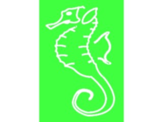 Sticker Custom Preview Image #015756 Animals Aquatic Seahorse06