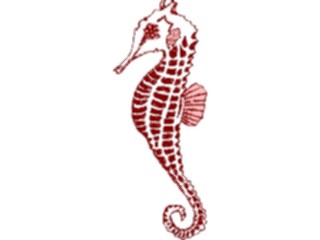 Sticker Custom Preview Image #015758 Animals Aquatic Seahorse08