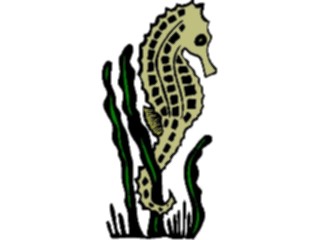 Sticker Custom Preview Image #015759 Animals Aquatic Seahorse09