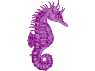 Sticker Custom Preview Image #015760 Animals Aquatic Seahorse10