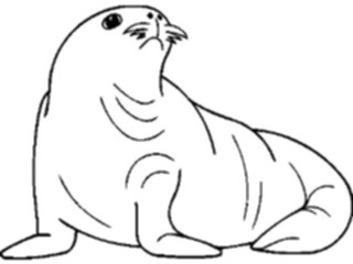 Sticker Custom Preview Image #015761 Animals Aquatic Seal01