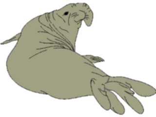 Sticker Custom Preview Image #015765 Animals Aquatic Seal05