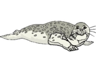 Sticker Custom Preview Image #015772 Animals Aquatic Seal12