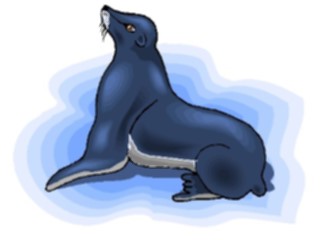 Sticker Custom Preview Image #015773 Animals Aquatic Seal13