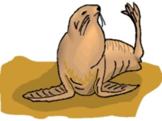 Sticker Custom Preview Image #015777 Animals Aquatic Seal17