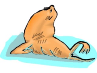 Sticker Custom Preview Image #015779 Animals Aquatic Seal19