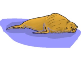 Sticker Custom Preview Image #015780 Animals Aquatic Seal20