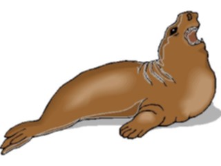 Sticker Custom Preview Image #015781 Animals Aquatic Seal21