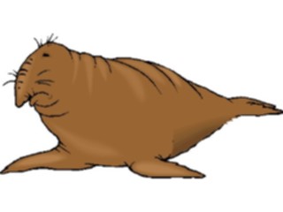 Sticker Custom Preview Image #015783 Animals Aquatic Seal23