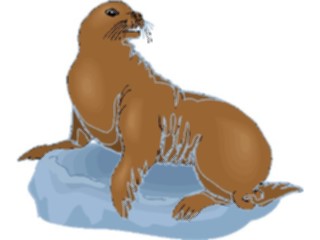 Sticker Custom Preview Image #015784 Animals Aquatic Seal24