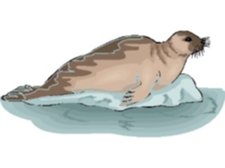 Sticker Custom Preview Image #015785 Animals Aquatic Seal25