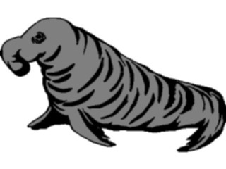 Sticker Custom Preview Image #015787 Animals Aquatic Seal27