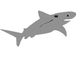 Sticker Custom Preview Image #015794 Animals Aquatic Shark01