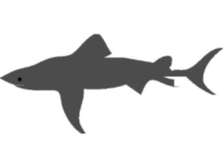 Sticker Custom Preview Image #015795 Animals Aquatic Shark02