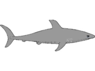 Sticker Custom Preview Image #015796 Animals Aquatic Shark03