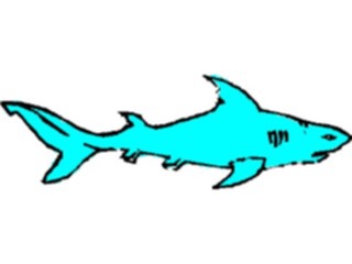 Sticker Custom Preview Image #015801 Animals Aquatic Shark08