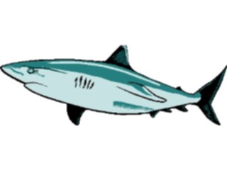 Sticker Custom Preview Image #015802 Animals Aquatic Shark09