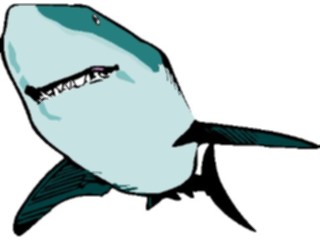 Sticker Custom Preview Image #015803 Animals Aquatic Shark10