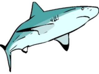 Sticker Custom Preview Image #015806 Animals Aquatic Shark13