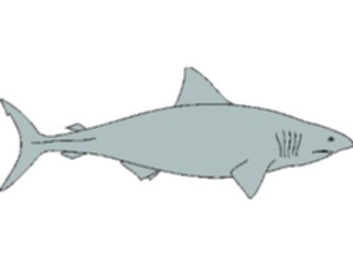 Sticker Custom Preview Image #015808 Animals Aquatic Shark15