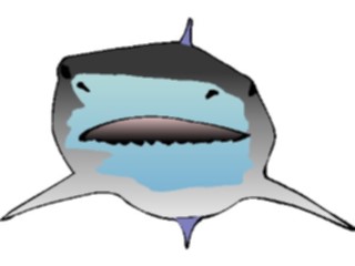 Sticker Custom Preview Image #015809 Animals Aquatic Shark16