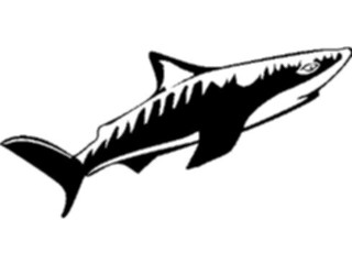 Sticker Custom Preview Image #015815 Animals Aquatic Shark24