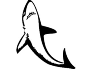 Sticker Custom Preview Image #015816 Animals Aquatic Shark25